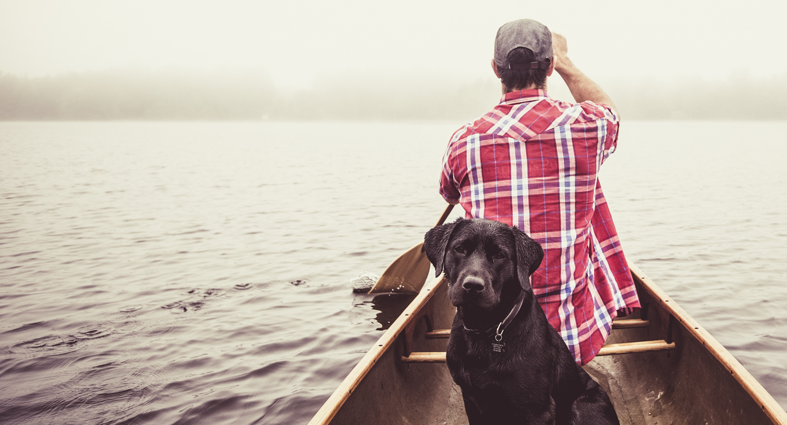 Lake_Dog_1600x865