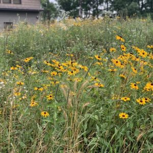 Septic Mound Mix/ 1000 sq ft